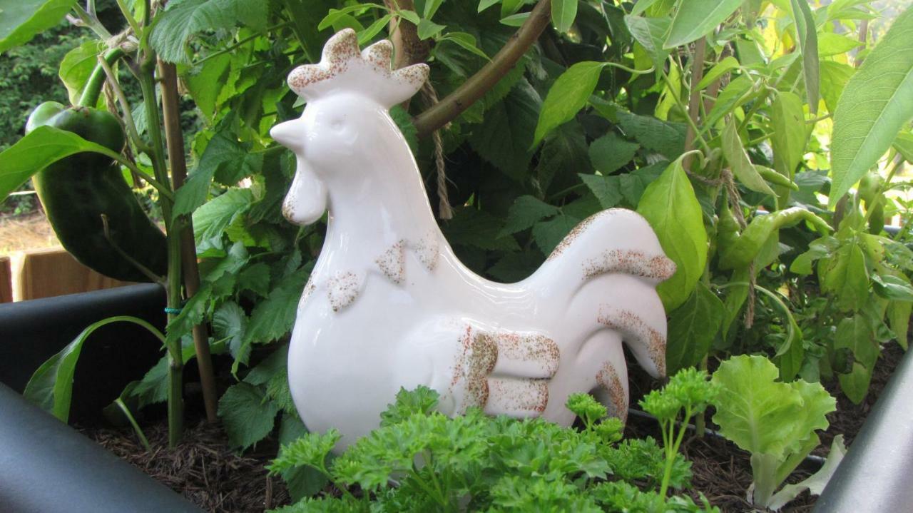 شقة Garden Living بليد المظهر الخارجي الصورة